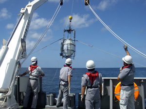 ���˔\�����̗l�q