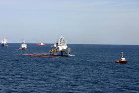 �����P���̗l�q