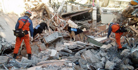 国際緊急援助隊(インドネシア・西スマトラ州パダン沖地震)