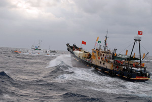 �̗L���咣�����D��