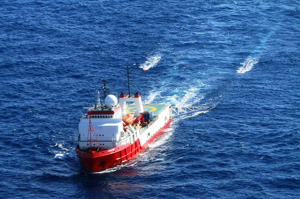 �������̊O���C�m�����D