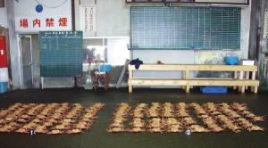 �������������т���