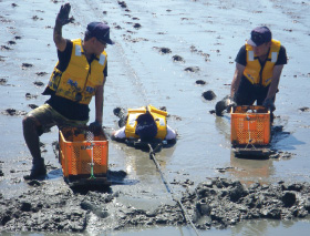 ���X�L�[����g�����~���P�����s���������X�L���[��