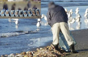 ����ނ����H������ɔ��������u�c���v�̕s�@����