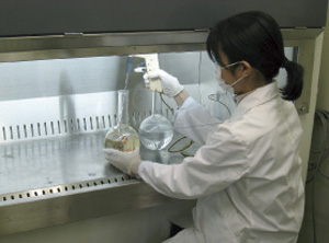 �X�P���g�l�}�E�R�X�^�c���̔|�{