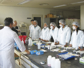 ���͌��C���󂯂錤�C��