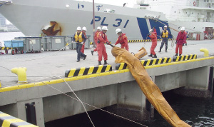 �r�o�����h���̐��̐���