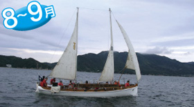 �����P��