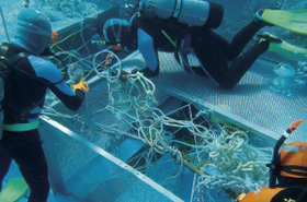 �]���D�����K