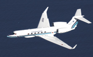 �K���tV�u���݂킵�v