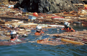 海上保安庁の役割と対応体制2