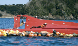 �]���D�̑D��������������҂��m�F��������m