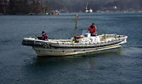 �C����C��ۈ����������^��