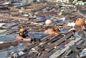 ��茧�c�씨���i����23�N3��19���A�����D�u�ł��܁v�����m�j