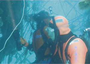 �{�錧��O�����u�Ð�p�i����23�N6��16���A�����D�u�������v�����m�j