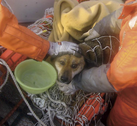 �Y�����o�������