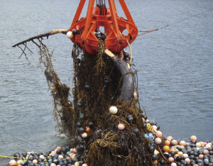 漂流物の状況(平成23年5月5日、岩手県山田湾周辺海域)