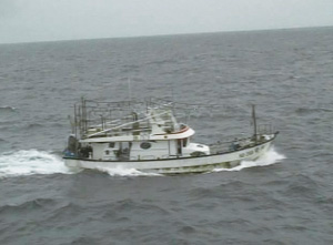 �ڑ���������q�����̑�p�V���D�u���268�v