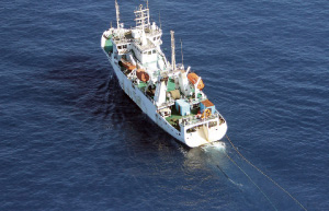 ���C���[�l�̂��̂������q���̒����C�m�����D�u�k�l�v