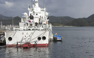 �����D�ɌW�����̕Y���D�i�E�j