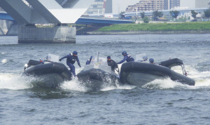 �e���΍�P��