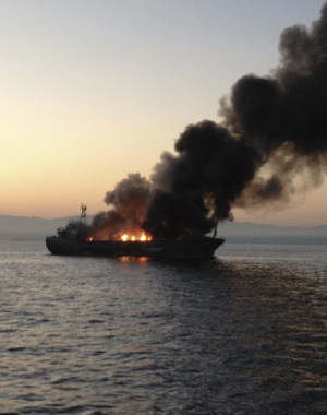 �D���΍Ђ̗l�q