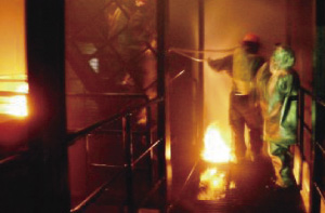 �΍Џ��ΌP���̗l�q