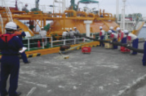 �^���J�[�o�[�X�̓_���̗l�q