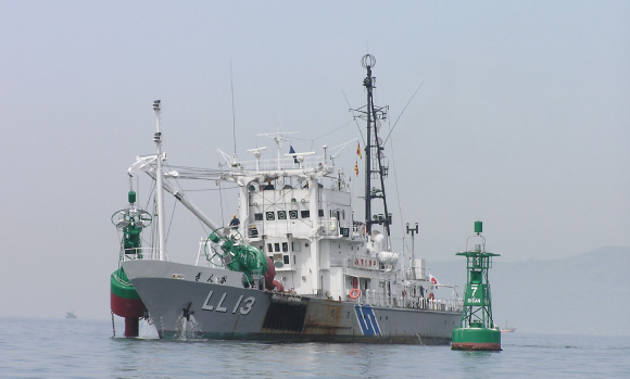 �����W�̌�����Ƃ��s���u���񂪁v