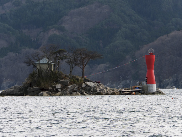 ��ƍ`����