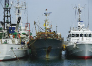 �\�߂����O�����D