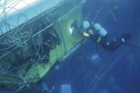 �]���D�̐����{�����s�������m