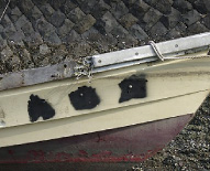 �D�����h��Ԃ��꓊�����ꂽ�p�D