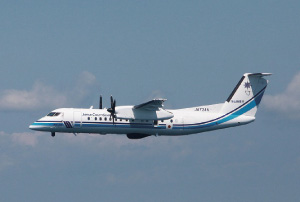 �{���o��300�u�����킵�v