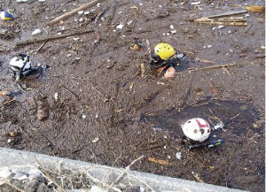 港内を捜索する潜水士