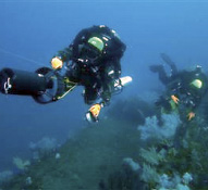 �����ɂ��{���~������