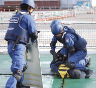 �Ɛl�����P��