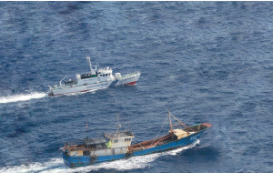 �����T���S���D��ǔ����鏄����