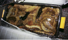 �������ꂽ�u�i�}�R�v