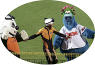 �J�[�v�̃}�X�R�b�g�L�����N�^�[�u�X���B���[�v