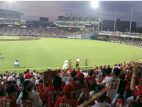 �L���J�[�v�Β����h���S���Y��