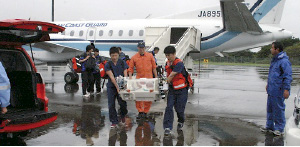 ��Ô����P���̗l�q�i��q����`�j