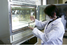 �C��ۈ����������Z���^�[�E��