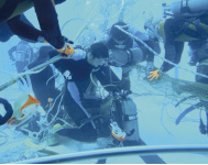 �������C