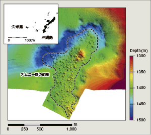 ���������`���j�[�Q�͈̔�