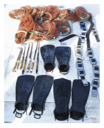 �������i�t�B���E�E�F�C�g���j