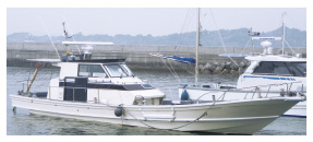 �����Ɏg�p���ꂽ�D��