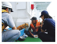 �~�����ꂽ�Z���ƈ����i�����D�u���܁v�D��ɂāj