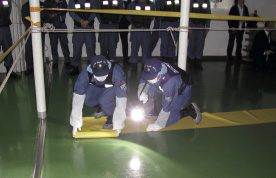 ���Ս̎�P��