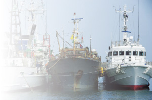 I �̓y�E�̊C�̌���ƊC�m���v�̕ۑS